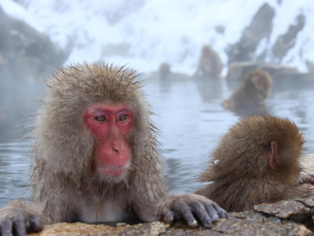 Отель Minshuku Miyama Nakano  Экстерьер фото